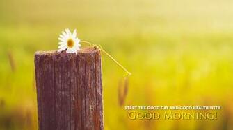 Good Morning Flower Thought Wallpaper New HD