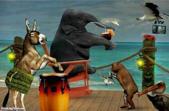 Animal Party By The Sea Pictures Freaking News