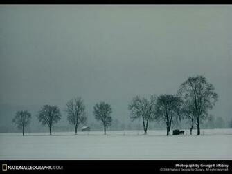 Of The Day Picture Photography Wallpaper National Geographic