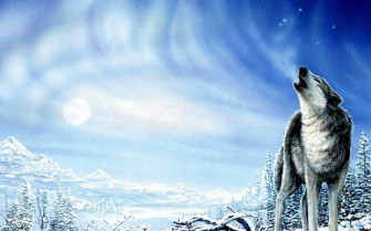 Wolf Background Wallpaper