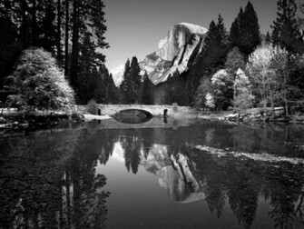 Cran De Image Noir Et Blanc Sur Maxxiweb Fond Wallpaper