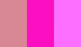 Blush Shocking Pink And Crayola Three Color Background