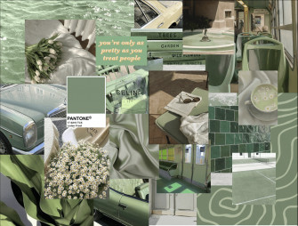 Sage Green Aesthetic Background Wallpaper