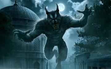 Werewolf HD Wallpaper Background Image