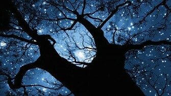 Stars Wallpaper HD Background
