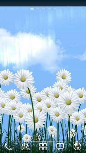 Live Wallpaper Screenshots How Does It Look Daisies