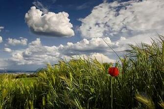 Wallpaper Photo Gallery Picture Windows