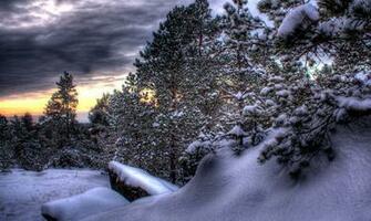 Let It Snow Wallpaper