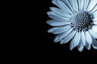 Samsung Screensaver Apps Directories