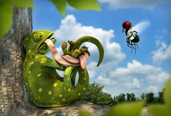 HD Wallpaper Humor Animal
