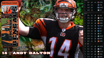 Cincinnati Bengals Desperately Seeking Sunday