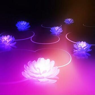 Lotus Wallpaper Background Flowers Blackberry