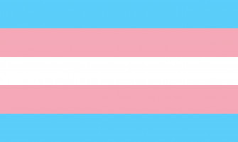 Transgender Flag Wallpaper
