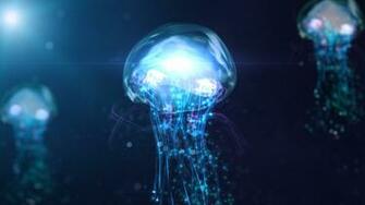 Jellyfish Computer Wallpaper Desktop Background