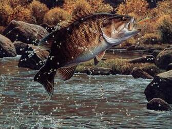 Largemouth Bass HD Wallpaper For Desktop Image Pictures Becuo