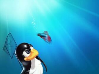 Tux Vs Windows Fish Desktop And Mobile Wallpaper Wallippo