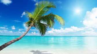 Beach Computer Background