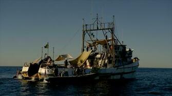 The Last Ship Tv Series Octopus Refugee Shrimp Boat