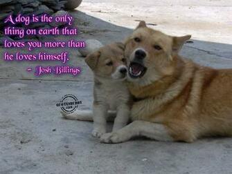 Funny Animals With Words Desktop Background