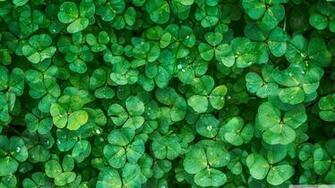 Happy St Patrick S Day 4k HD Desktop Wallpaper For