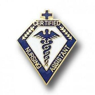 Certified Nursing Assistant Lapel Pin Cna Professional Medical Jewelry