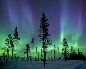 Wall Rogues Wr50512 Aurora Borealis Northern Lights Mural Blue