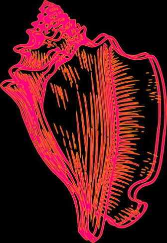 Pink Yellow Conch Shell Clip Art Vector Online Royalty