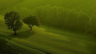 Windows Nature Wallpaper Green