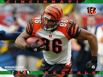 Related Wallpaper Football Cincinnati Bengals Tony Stewart Nfl