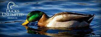 Check Out Ducks Unlimited S Other Social Media Networks