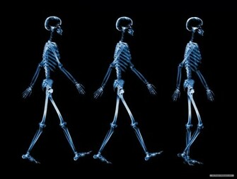 Wallpaper Art X Ray