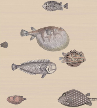 Cole Son Acquario Wallpaper Taupe Us Wall Decor