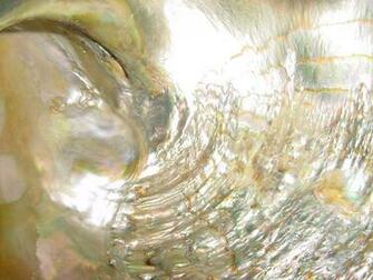 Mother Of Pearl By Ellenstock