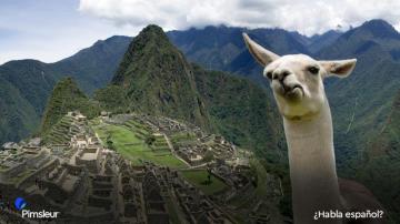 Fun Zoom Background To Inspire Your Language Learning The