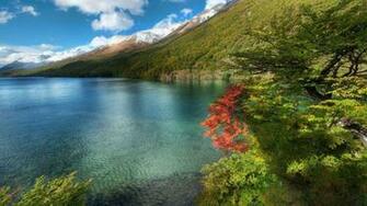 Peaceful Lakescape In Summer Wallpaper Nature