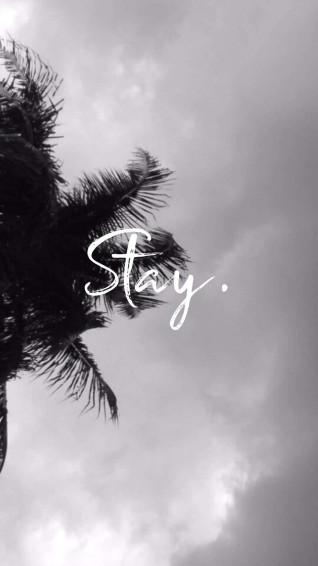 Photography iPhone Wallpaper