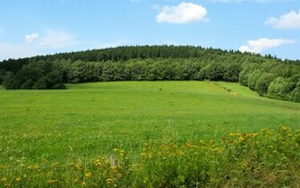 Green Grassland Wallpaper Desktop Background Scenery