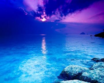 Wallpaper S Collection Ocean