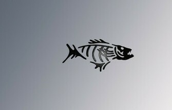 Walleye Wallpaper Image And All To