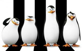 Penguins Of Madagascar Wallpaper Image