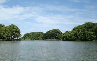 Tropical Islands Widescreen Wallpaper