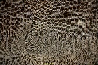 On August By Stephen Comments Off Snake Skin Wallpaper