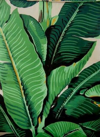 Neon Design Martinique Banana Leaf Wallpaper Designed By Don