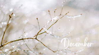 Holiday Background For Your Phone And Desktop