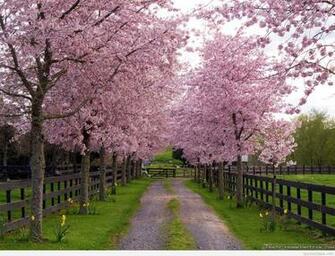 Awesome Spring Wallpaper Photos