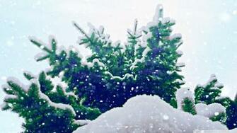 Let It Snow Wallpaper