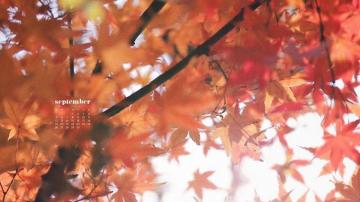 September Wallpaper Calendars For Desktop And Phones