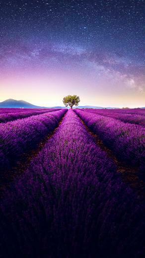 Galaxy Note Plus Wallpaper