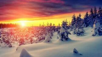 Beautiful Winter Sunrise Wallpaper