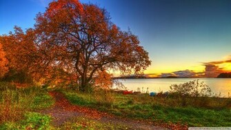 Autumn Scenery Wallpaper